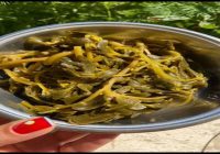 Semizotu Turşusu Tarifi